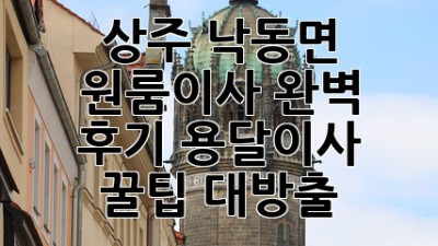 상주 낙동면 원룸이사 완벽 후기! 용달이사 꿀팁 대방출🍯