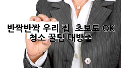 ✨ 반짝반짝 우리 집 ✨ 초보도 OK! 청소 꿀팁 대방출 🍯